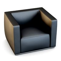 Poliform Shangai Armhair (18026)