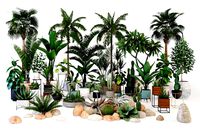 Tropic Plants Set (17942)
