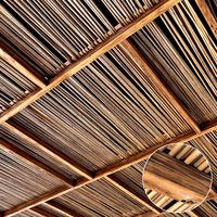 Ceiling straight thin branch n4 (335275)