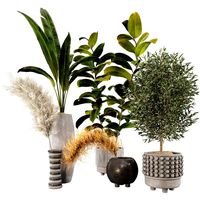 Plant Set 13 (335346)