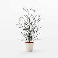 Aralia Italian Mochato Bun Stand Set