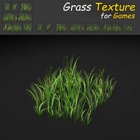 Grass Texture 3D Model