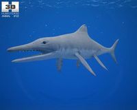 Temnodontosaurus 3D Model