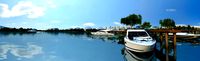 The lake