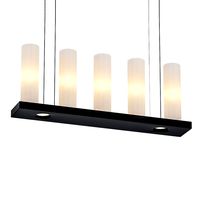 Robers Chandelier (335724)