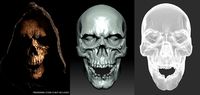 Skull