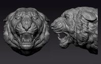 Tiger head roar