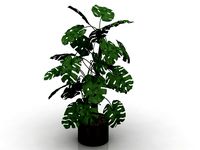 Resource-Interior- Plant house Mano de Leon
