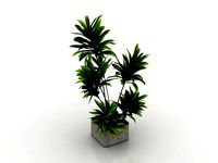Resource-Interior-Plant house