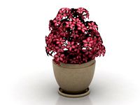 Resource-Interior-Flowers vase