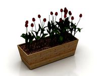 Resource-Interior-Flowers box
