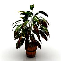 Resource-Interior-Plant Deco