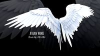 ZBrush Avian Wing + FBX + OBJ