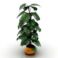 Resource-Interior-Plant H