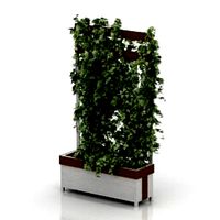 Resource-Interior-Bush plant, flower