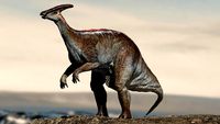 Parasaurolophus 3D (Rigged) model