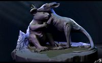Koala and Kangaroo Models Zbrush