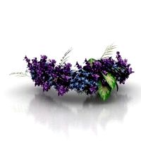 Resource-Interior-Flowers