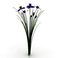 Resource-Interior-Flower Irissibirica