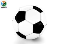 3D Model: Soccer Ball