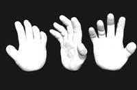 Hand stylized