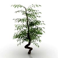 Resource-Interior-Bush