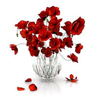 Resource-Interior-Exterior-Flowers poppies
