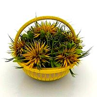 Resource-Interior-Exterior-Flowers