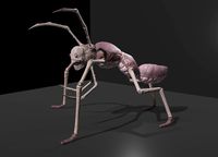 Arthropoda creature