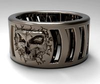 fractured skull ring Free 3D print model