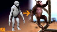Hominid Base Mesh