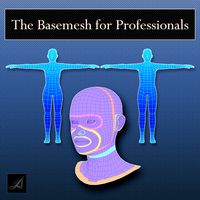 The Basemesh for Professionals