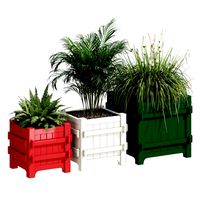 Plants in Cassique boxes (336054)