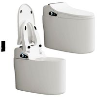 Modern Smart One-Piece Floor Mounted Elongated Toilet and Bidet with Seat (212913)