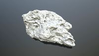 Printable Asteroid