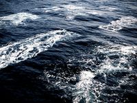 Foam Decals Vray and Corona