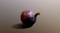 Turkish Black Bursa Fig