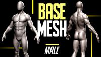 Basemesh Male