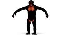 Chimpanzee