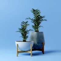 Planters