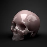 skull 3d model