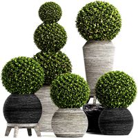 Concrete Tree Topiary - Indoor Plant 221