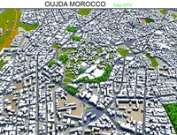 Oujda city Morocco 3d model 50km