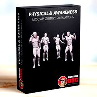 Physical & Awareness MoCap Gesture Animation Pack