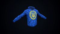 Blue hoodie