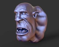 Head-G1_high poly sculpt