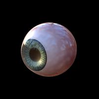 Procedural Eye Shader Blender 3.0+