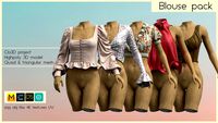 BLOUSE PACK