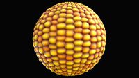 Corn - Procedural Material