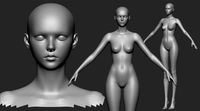 Free Female 2020 Base Mesh